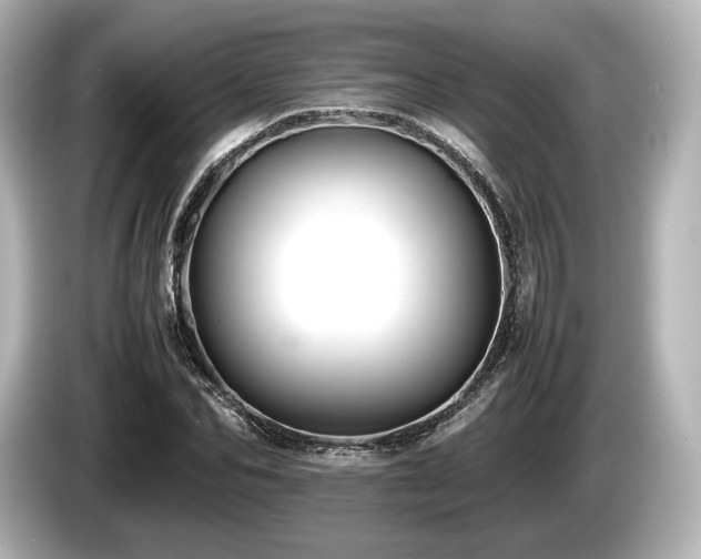 X0000085730974200703161002