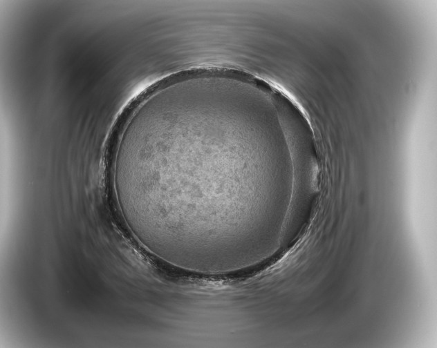 X0000085730975200703161002