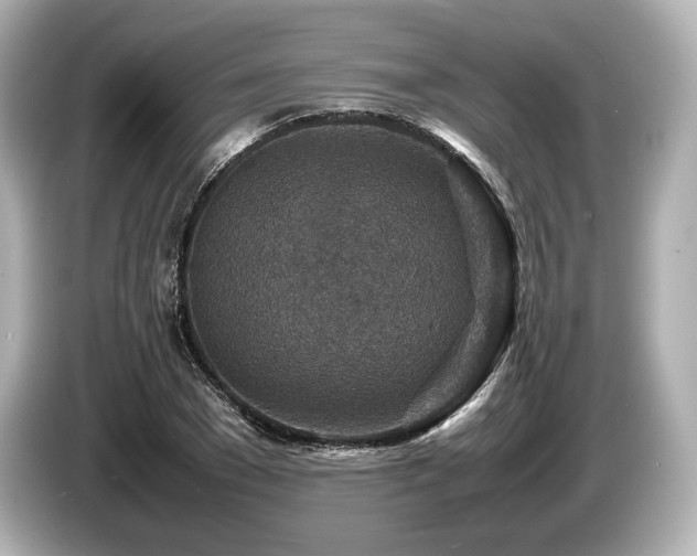 X0000085730977200703161002