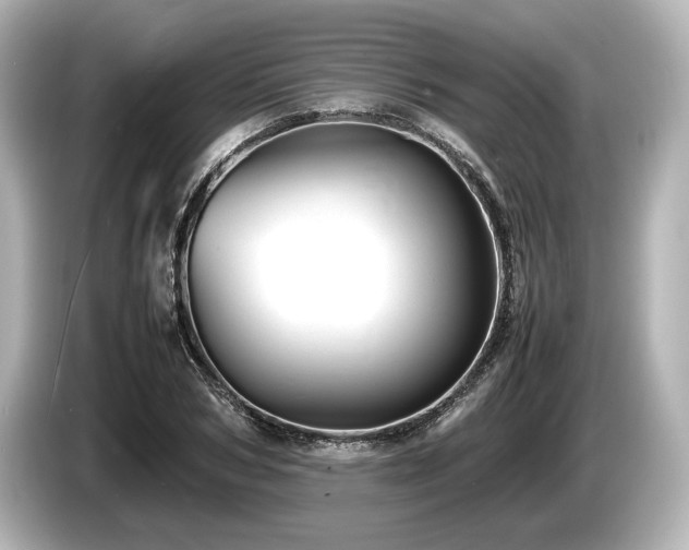 X0000085730978200703161002