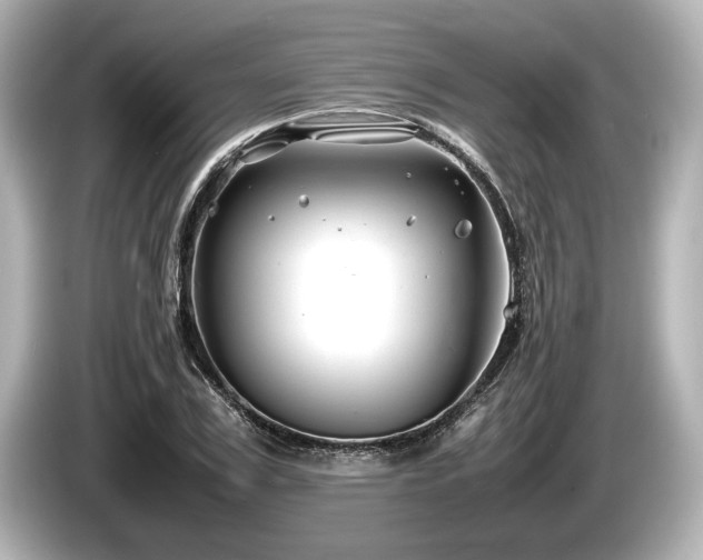 X0000085730979200703161002