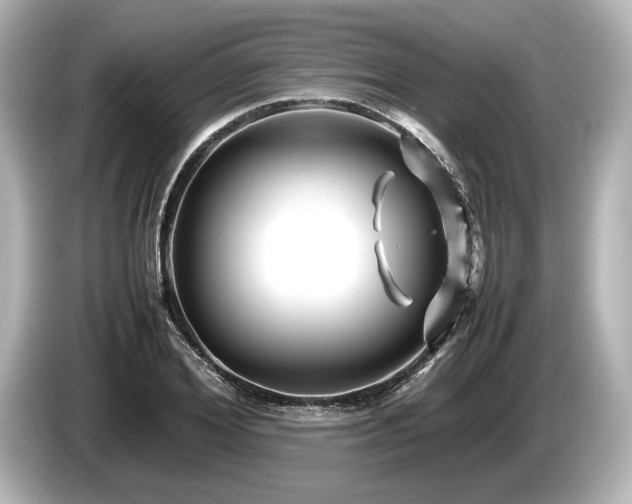 X0000085730980200703161002