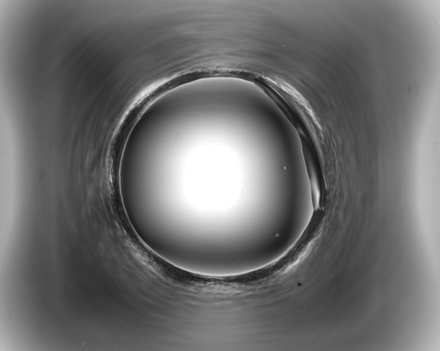 X0000085730981200703161002