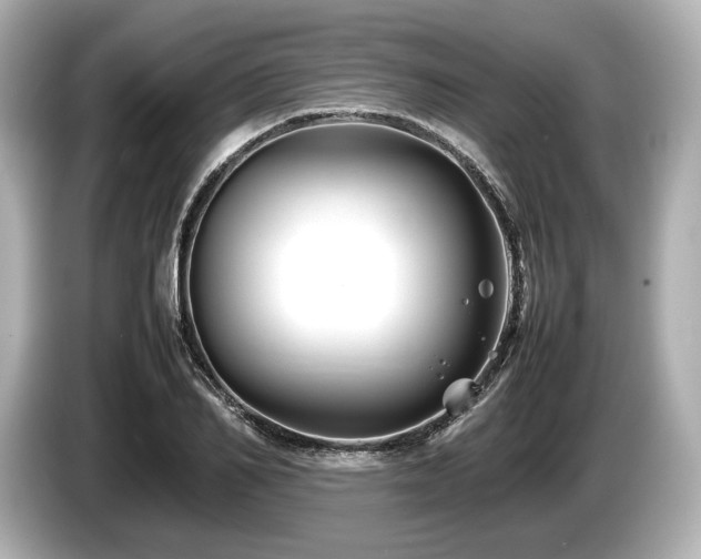 X0000085730982200703161002