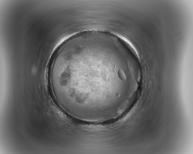 X0000085730983200703161002