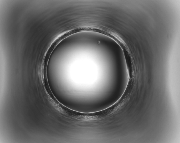 X0000085730984200703161002