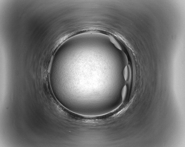 X0000085730985200703161002