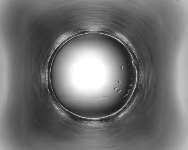 X0000085730986200703161002