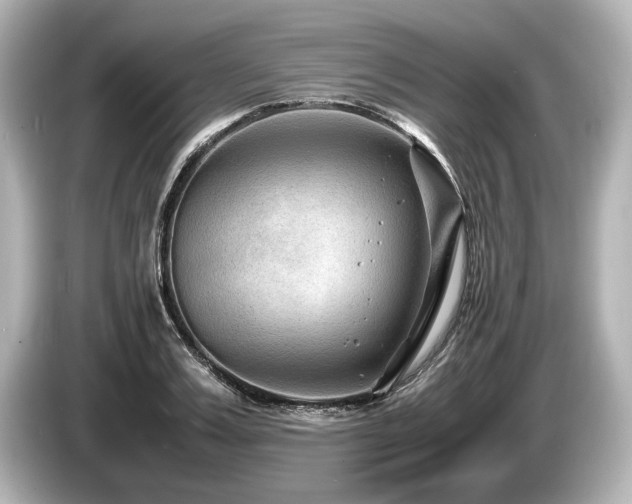 X0000085730987200703161001