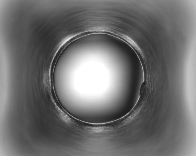 X0000085730988200703161001