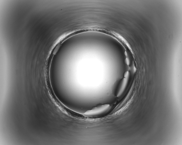 X0000085730989200703161001