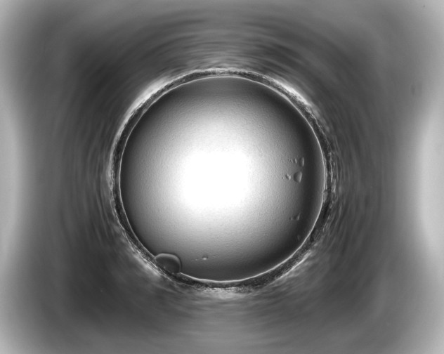 X0000085730990200703161001