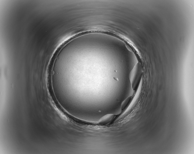 X0000085730991200703161001