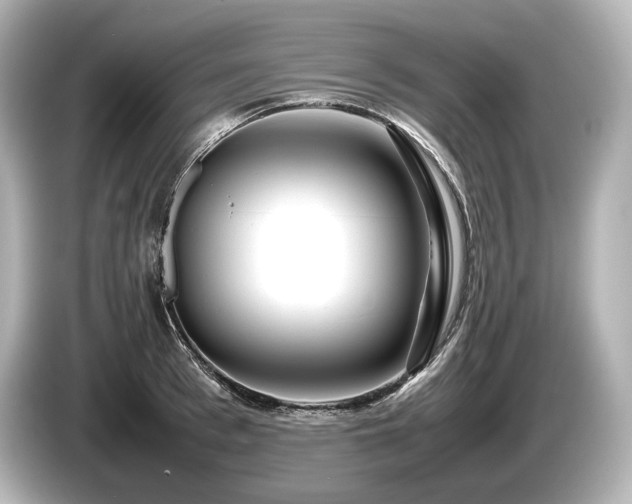 X0000085730993200703161001