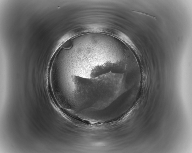 X0000085730994200703161001