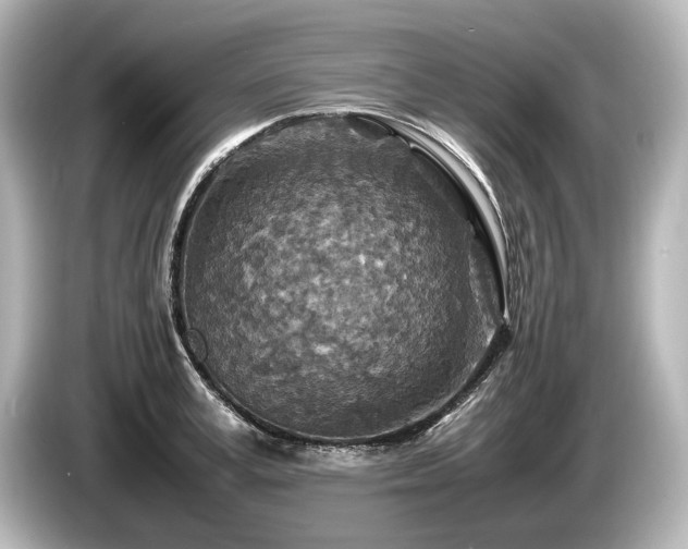 X0000085730995200703161001