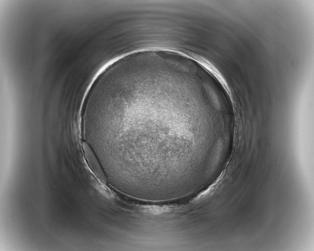 X0000085730996200703161001