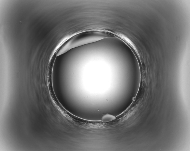 X0000085730997200703161001