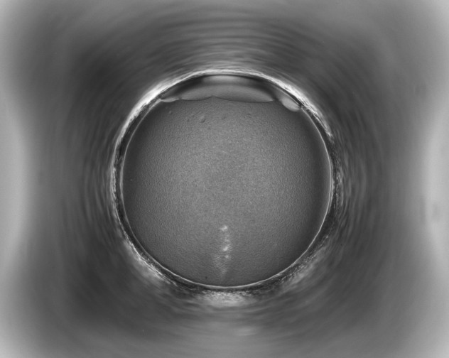 X0000085730998200703161001