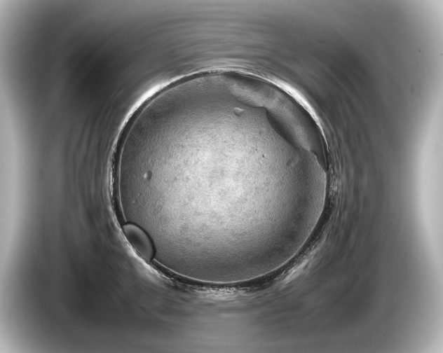 X0000085730999200703161001