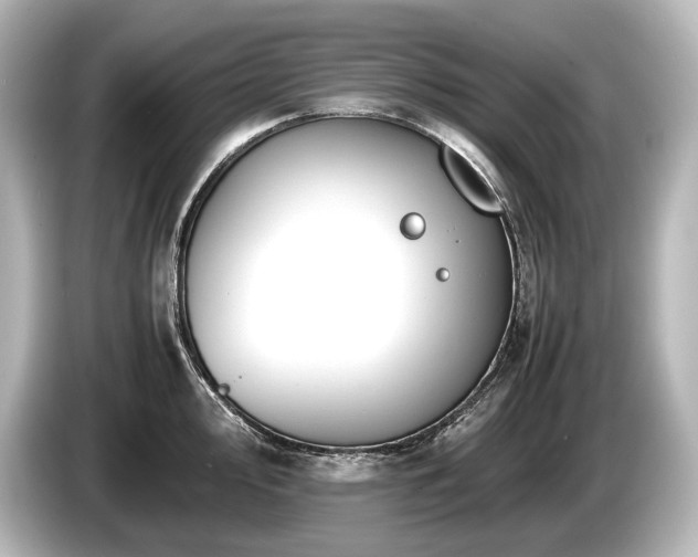 X0000085731000200703161001