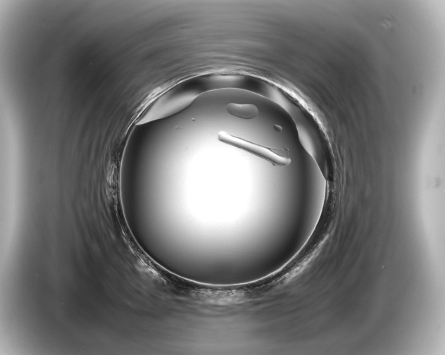 X0000085731001200703161001