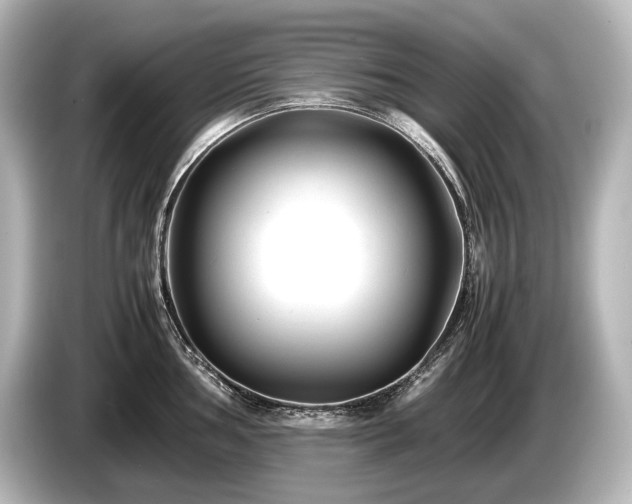 X0000085731002200703161001