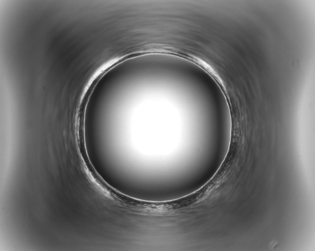 X0000085731003200703161001