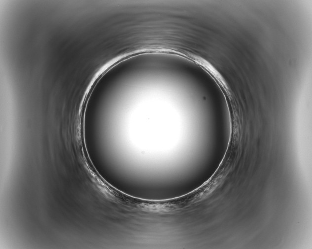 X0000085731004200703161001