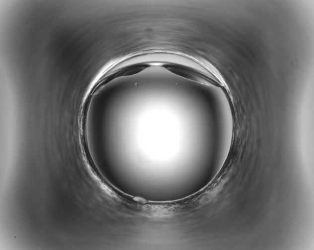 X0000085731005200703161001