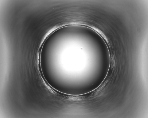 X0000085731006200703161001