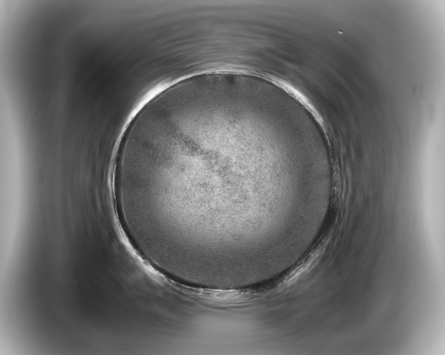 X0000085731007200703161001