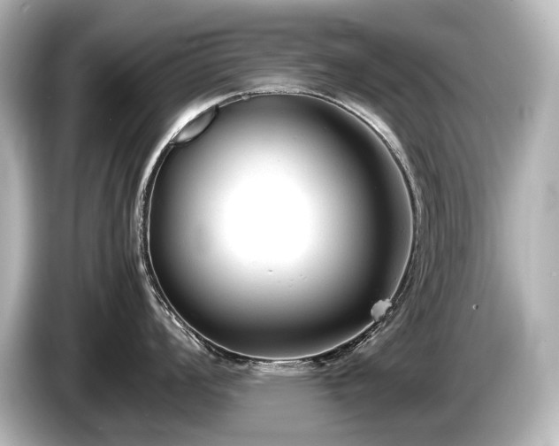 X0000085731008200703161001