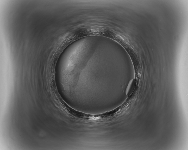 X0000085731009200703161000