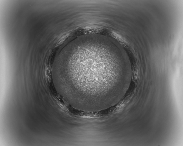 X0000085731010200703161000