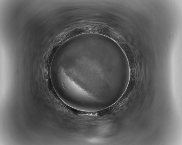 X0000085731013200703161000