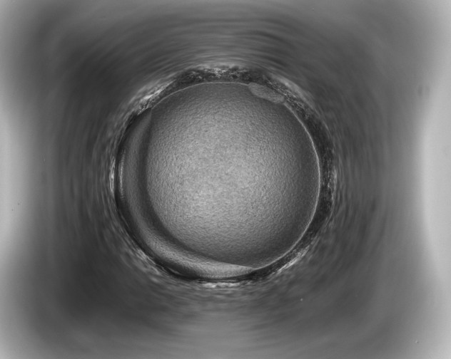 X0000085731014200703161000