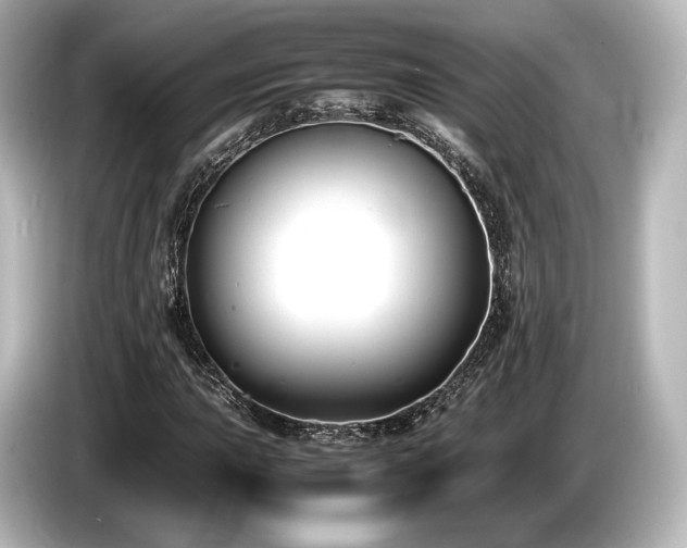 X0000085731015200703161000