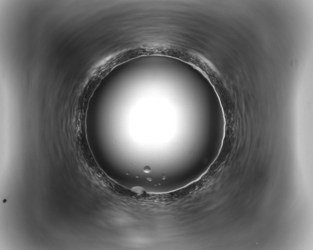 X0000085731016200703161000