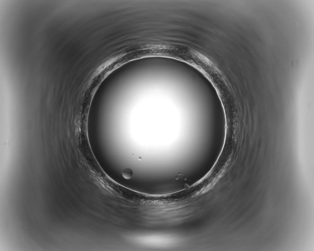 X0000085731017200703161000