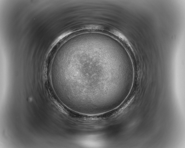 X0000085731019200703161000