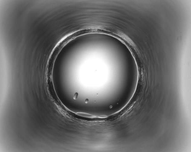 X0000085731020200703161000