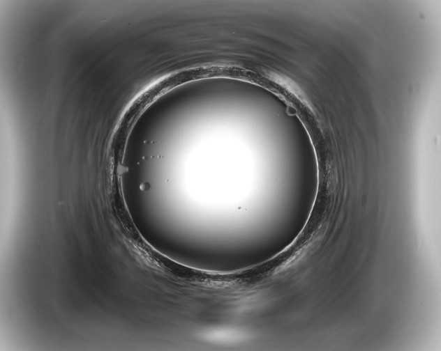 X0000085731021200703161000