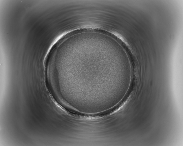 X0000085731022200703161000