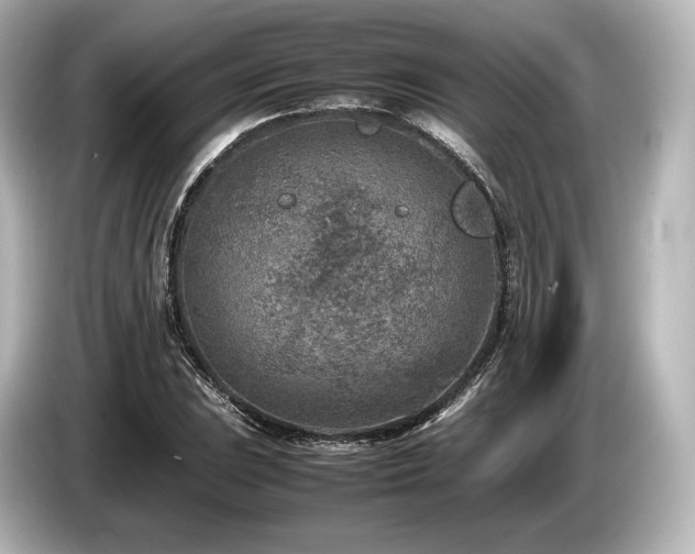 X0000085731023200703161000