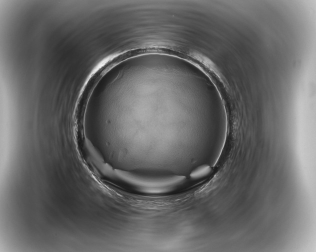 X0000085731024200703161000