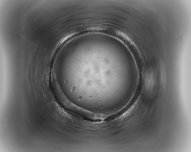 X0000085731025200703161000