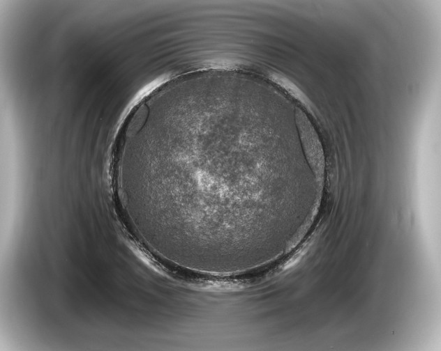 X0000085731026200703161000