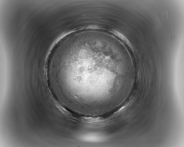 X0000085731027200703161001