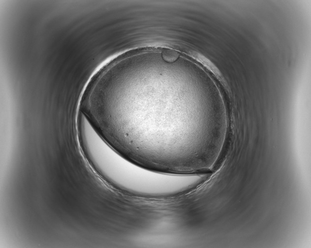 X0000085731028200703161001